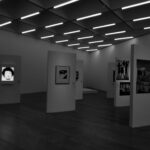 The Role of Art Collectors in Preserving Culture